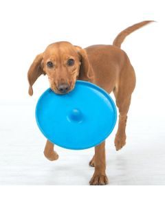 Dog Puppy Fetch Training Toy Flying Disc Frisbee Pet - Assorted Colours