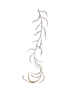 Enchanted Willow Vine Lights - 96 LEDs