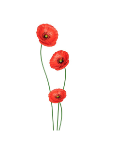 3pc Garden Metal 49/75/90cm Stake Poppy Flower Outdoor Decor - Red