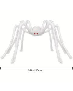 Creepy Crawly: The Halloween Spider Showstopper