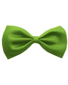 Mens Small Green Bow Tie (Pre-Tied Classic Formal Necktie)