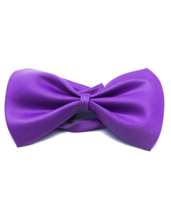 Mens Small Purple Bow Tie (Pre-Tied Classic Formal Necktie)