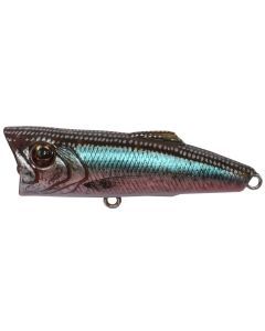 Zerek 50mm Poparazzi Top Water Popping Lure - Realistic Scissortail Fusilier