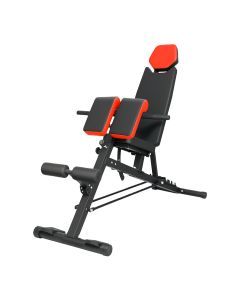 Centra Adjustable Weight Bench Full Body Workout Multi-Purpose Strength Traini