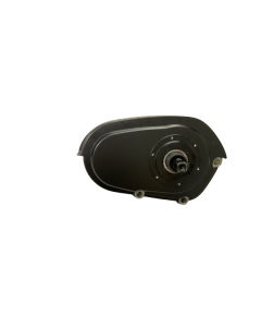 Bafang Motor MAX-200-C, 36V 250W, Inner transmission gear, C966 Display Milano Max N8C  Paris Max N8C