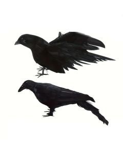 Crow Decorations with Spread Wings (2pcs)