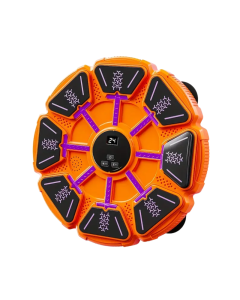 Wall Music Boxing Board with Gloves