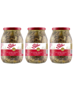 3x 950g Polli Funghi Misti con Porcini - Mushrooms Mix in Oil in Glass Jar (Bulk Pack) - Product of Italy