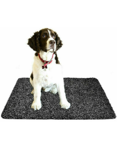 Super Absorbent Doormat Clean Step Mat Microfibre Non-Slip Absorbs Mud Water Pet