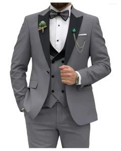 Men's Slim Fit 3-Piece Suit Formal Set (Gray)