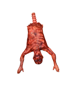 Bloody Halloween Corpse – Hanging Ghost