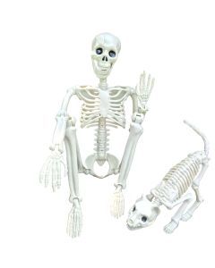 Halloween Skeleton & Cat Decoration Set (2pcs)