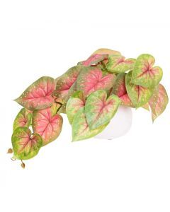 46cm Faux Caladium Bush Potted Plant - Red/Green (Artifical Decor)