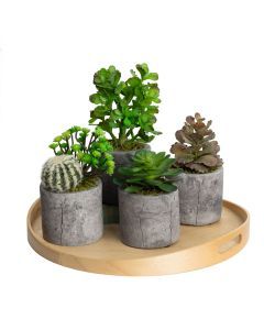4pcs Assorted Succulents & Cactus Artificial Potted Plants (Faux Greenery Set)