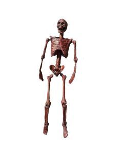 Halloween Mummification Skeleton Life-Size Decoration