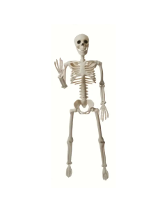 Halloween Skeleton Decoration with Movable Joints