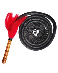 Martial Art Wushu Whip
