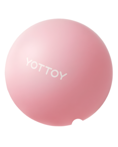 Thickened Explosion-Proof Yoga Ball - Fitness & Balance Ball