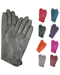 Dents Womens Classic Smooth Grain Leather Gloves (Soft Warm Winter 77-0003)