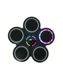 9-Speed Smart Boxing Machine with Wireless Music