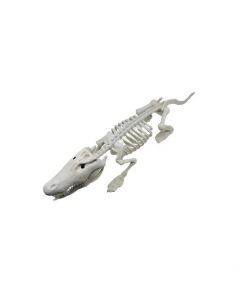 Crocodile Skeleton Halloween Garden Statue