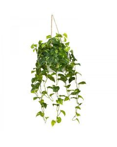 104cm Pothos Bush in Hanging Planter in Pot (with Rope) Artificial Flower Plant Green