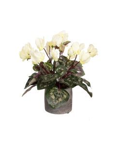 34cm Potted Faux Cyclamen Plant in Pot Artificial Flower Plant Decor - Cream