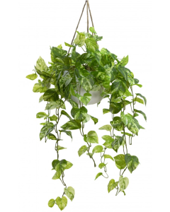 104cm Faux Marble Pothos Bush in Hanging Planter Tabletop and/or Hanging Display