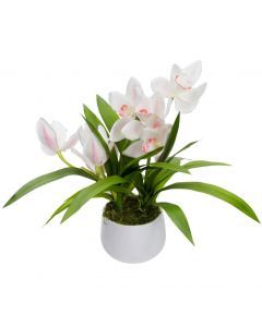 43cm Faux Cymbidium in Pot Artificial Flower Fake - Cream
