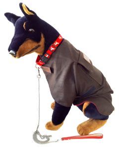 Jacaru Dog  Oilskin Wax Cotton Jacket - Fully Lined Windbreaker (Winter Coat)