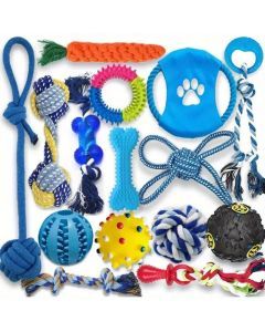 Series Dog Chew Toy Set (15pcs)