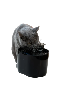 Smart USB-Powered 2.2L Pet Water Fountain for Cats and Dogs - Black