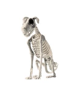 Halloween Dog Skeleton Decoration