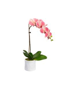 48cm Phalaenopsis Orchid Artificial Potted Plant - Mauve (Faux Floral Decor)