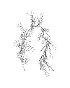 Halloween Black Dead Cane Simulation Plant