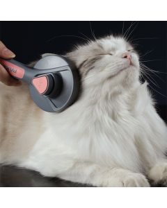 Cat Comb Dog Hair Remover Brush Pet Grooming Slicker Comb Removes Tangled  Self Cleaning Pet Supplies Accessories