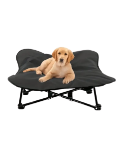 Portable Elevated Dog Bed for All Dog