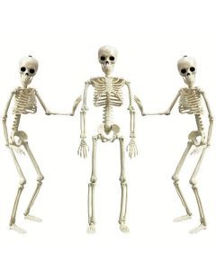 Set 3pcs 40.64cm Posable Halloween Skeleton Decorations Haunted Houses, Graveyards, and Indoor Outdoor