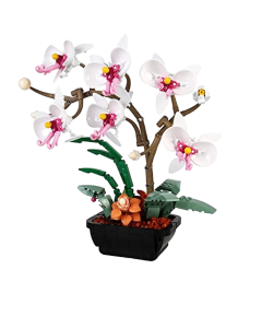 Flowers Orchid Building blocks