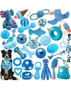 Series Dog Chew Toy Set (16pcs)